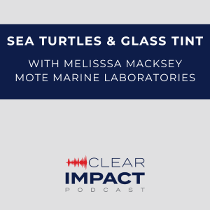 Episode 172: Sea Turtles & Glass – pt. 1