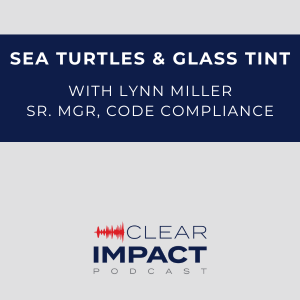 Episode 173: Sea Turtles & Glass – pt. 2